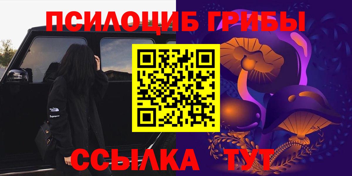 Псилоцибиновые грибы GOLDEN TEACHER  Вход с VPN  Чебоксары  Галлюциногенные грибы MAGIC MUSHROOMS 